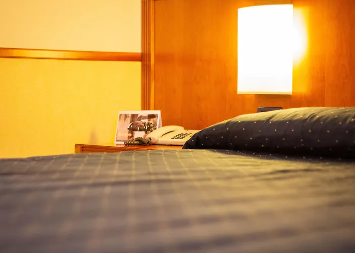 Pacific Fortino 4* Turin