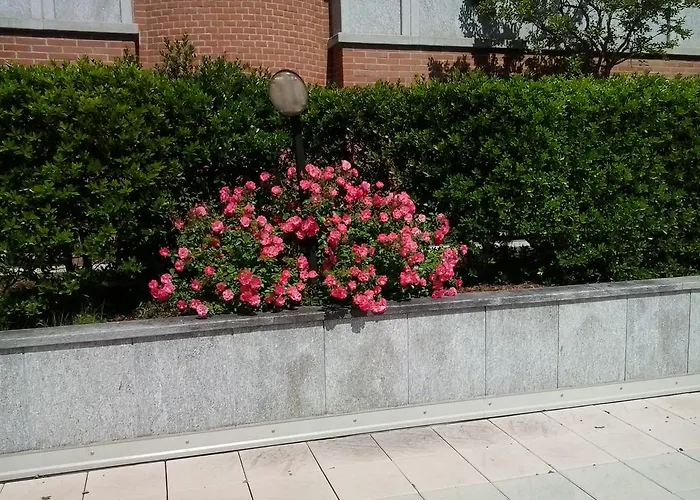 Pacific Fortino 4* Turin