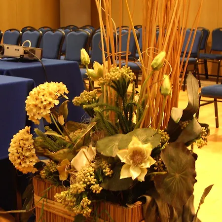 Pacific Fortino Hotel Turin