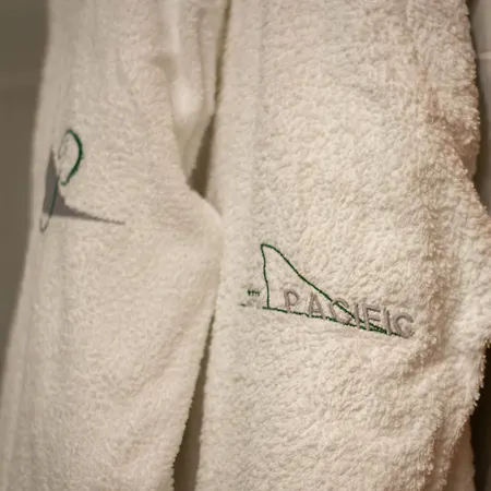 Pacific Fortino Hotel Turin