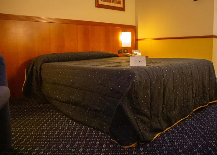 派西斐克弗尼诺酒店 都灵